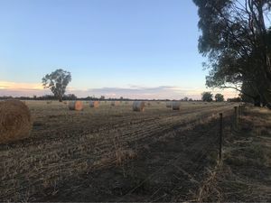Oaten Hay 5x4 Round Bales