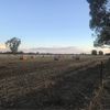 Oaten Hay 5x4 Round Bales