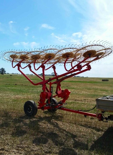 Enorossi 12 wheel V Rake with split.