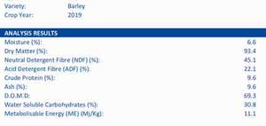 600 x 8x4x3 Bales of New Season Barley Hay