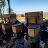 Vacuum 4 Row Planter