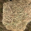 Rye/Clover Hay Smal Squares