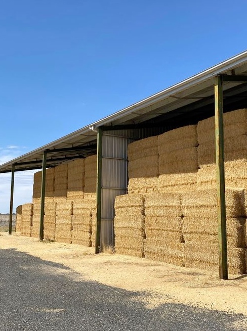 320mt Barley Straw 530kg 8x4x3 Bales
