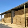 320mt Barley Straw 530kg 8x4x3 Bales