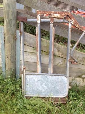 Steer Cattle Head Bail