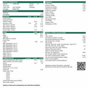  Small Squares Oaten Hay bales - SOLD BY THE BALE - Approximately 1000 bales