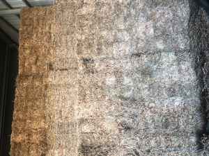 Clover Hay 22-25kg Small Bales (Arrowleaf)