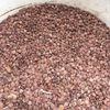 80mt Lentils ex farm