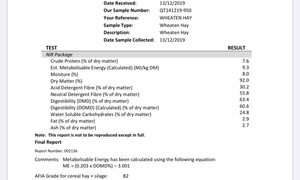 Wheaten Hay 750kg 8x4x3 Bales