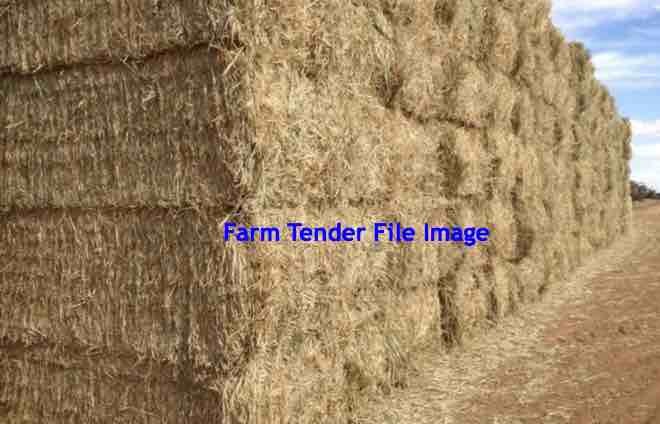 Header Trailed Barley Straw 8x4x3 Bales