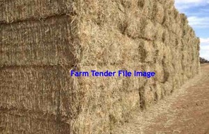 Header Trailed Barley Straw 8x4x3 Bales