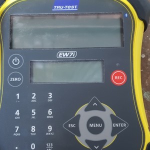 TRU TEST EZI WEIGH 7