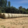 96 Rolls of second cut Lucerne Hay