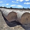 Canola Hay Round Rolls 5 x 4 (High Protein)