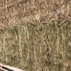 140mt Wheaten Hay 575kg approx 8x4x3 Bales + Freight