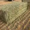 400mt Wheaten/Barley Hay 'New Season'