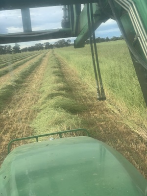 Oaten Rye 8x4x3 Bales