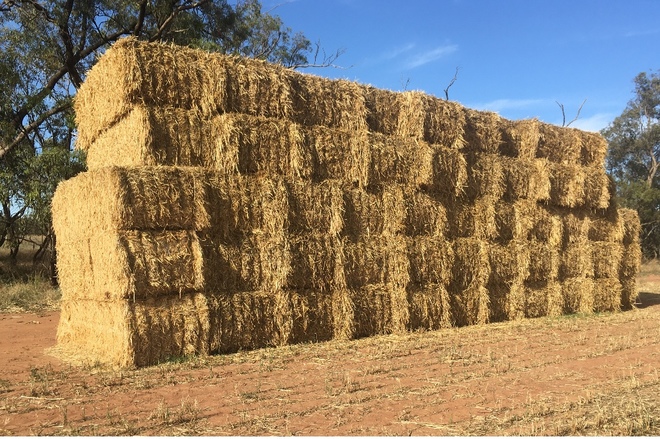 New Season Oaten Hay - approx. 75 x 8x4x3 bales