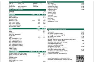 1200 x Wheaten Hay 360kg 4x4-1/2 ft Rolls