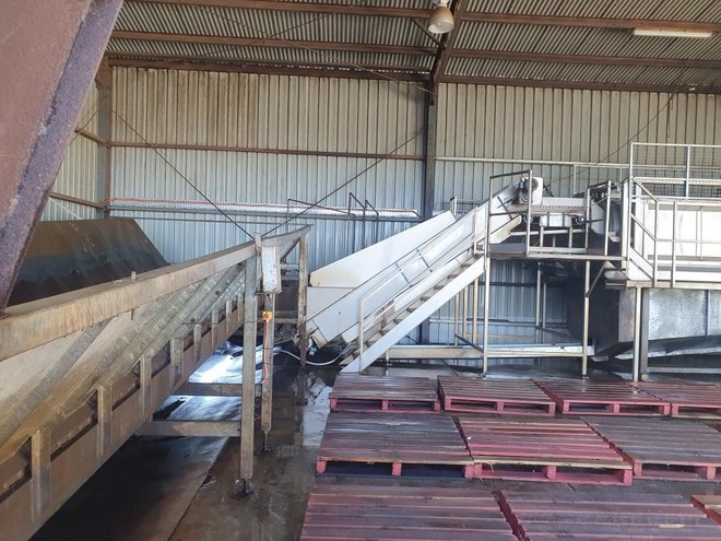 Carrot / Potato / Parsnip washer and  brusher