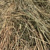 250 x 500kg 8x4x3 Bales of New Season Hay (2 Varieties) 