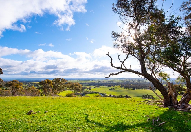 WANTED 100 Acres to buy around Maldon/Guildford area