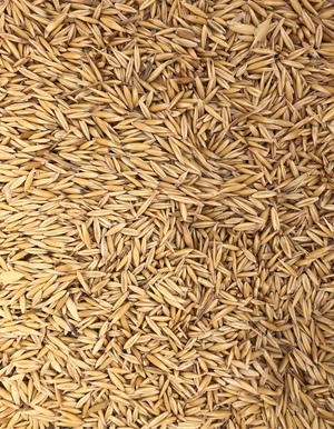 60mt Certified Organic Feed Oats