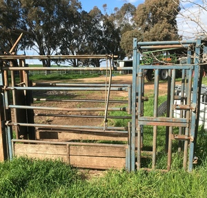 Cattle Crush