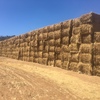 100mt Wheaten Tailings Straw 8x4x3 Bales (High Protein)