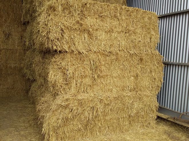 45mt Wheaten Hay 575 kg 8x4x3 Bales