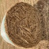 Grass hay. 4 x 4 Round Bales (new season).