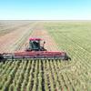 Case WDX 1701 Windrower with 30' Front on Comb Trailer
