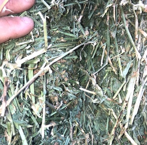 45  Bales Lucerne Hay in 8x4x3’s - SOLD PER Ton