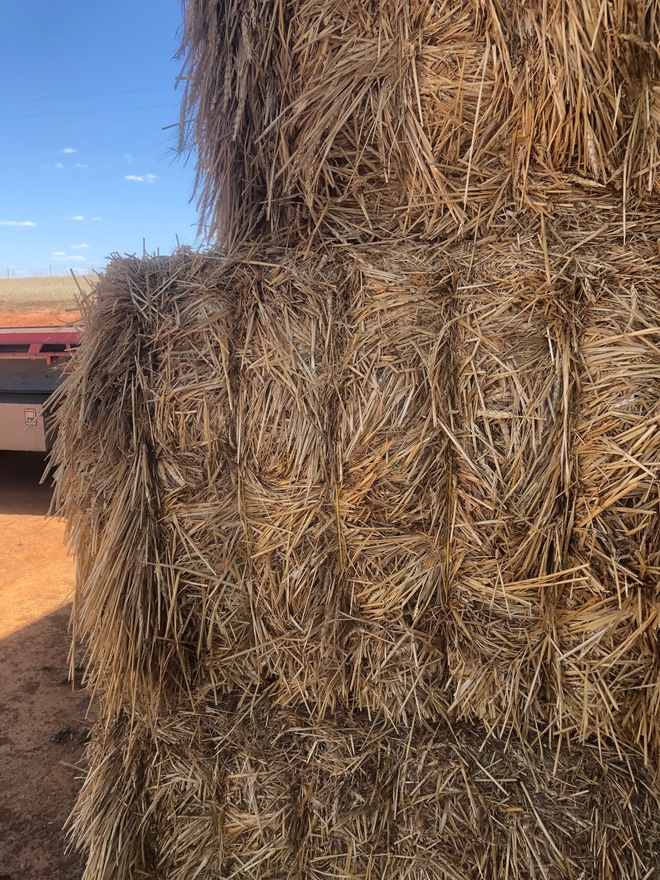 300 x Wheaten Hay 8x4x3 Bales