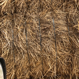 Wheat Straw for sale in 8x4x3’s