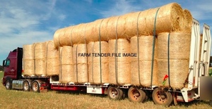 Wheaten Hay Rolls Wanted for Dry Cows and sheep