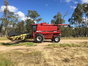 2000 CASE 2388 Header with 36 ft Honeybee Front