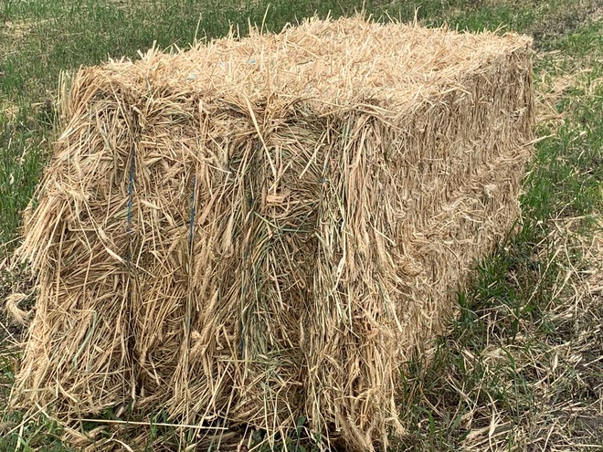 Wheaten Hay 864  Bales . 8x3x3