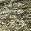 1000m/t Oaten Hay in 8x4x3 Shedded