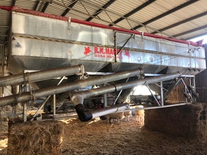 Macey Three Bay Grouper