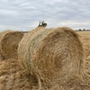 !!ONLY 48 LEFT!! Barley & Ryegrass Hay