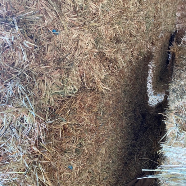 Oaten hay