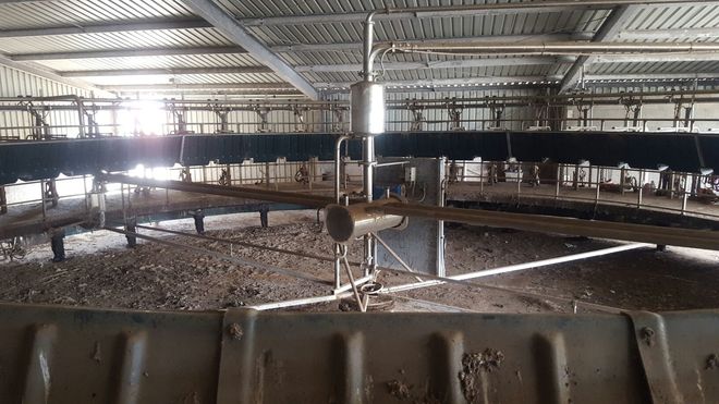 50 stand Fullwood rotary dairy complete