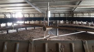 50 stand Fullwood rotary dairy complete