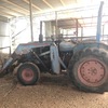 (A134) - Ford Tractor with 3PL and Forks