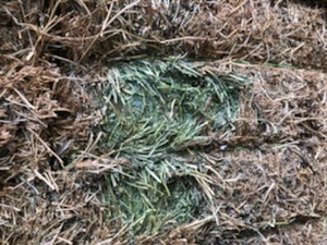 2 x B-Double Loads of Vetch Hay