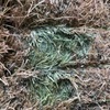 2 x B-Double Loads of Vetch Hay