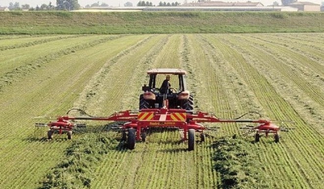 Brand New Fiorini Super Big 1000  Rake