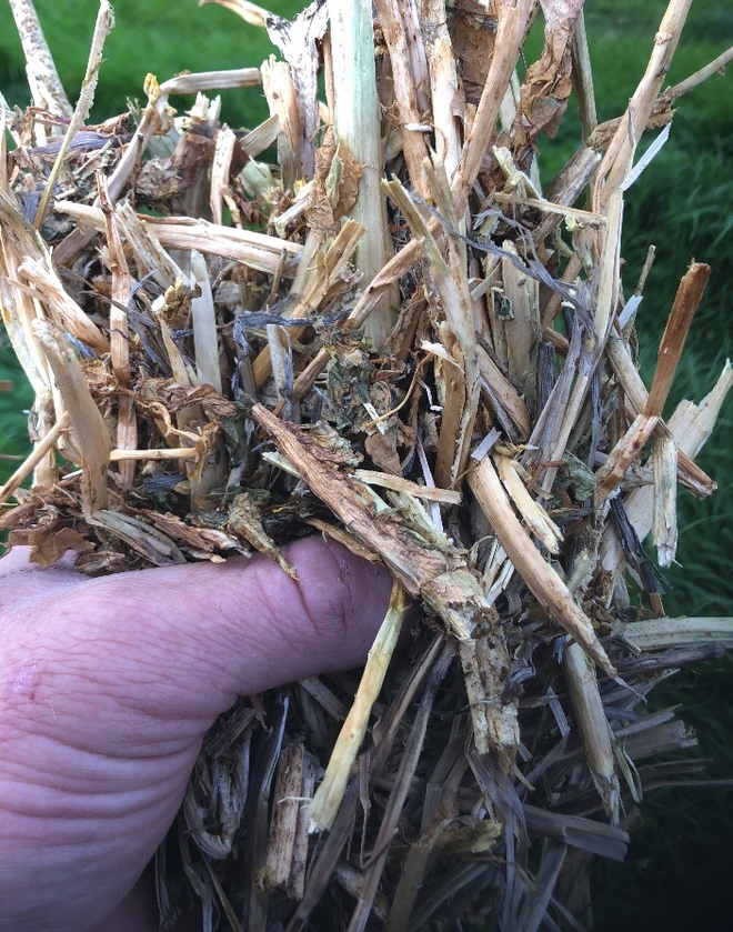 27.5mt Canola Hay 550kg 8x4x3 Bales