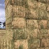 New Season Oaten Hay For Sale 8x4x3 Bales